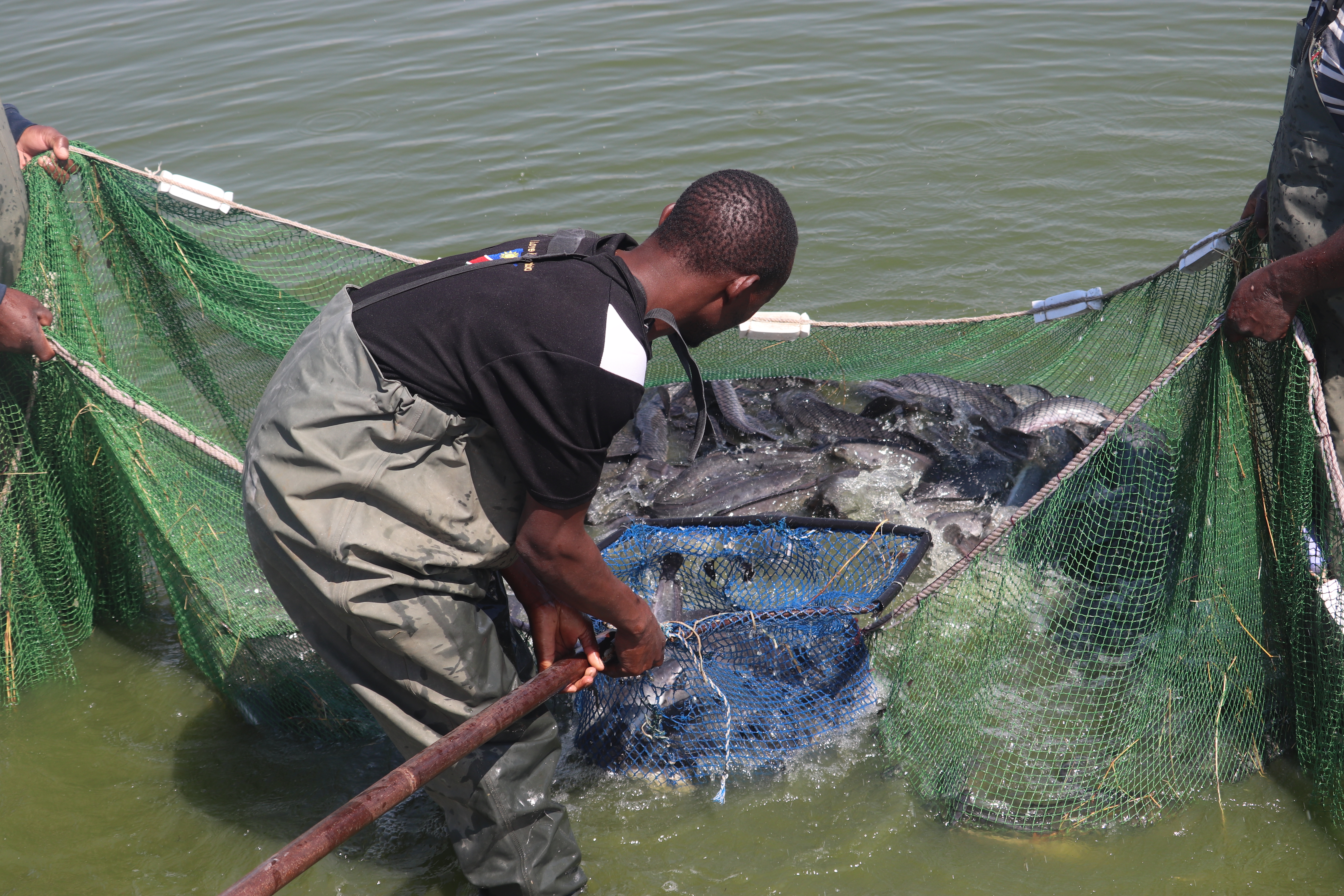 Second Responsive Image